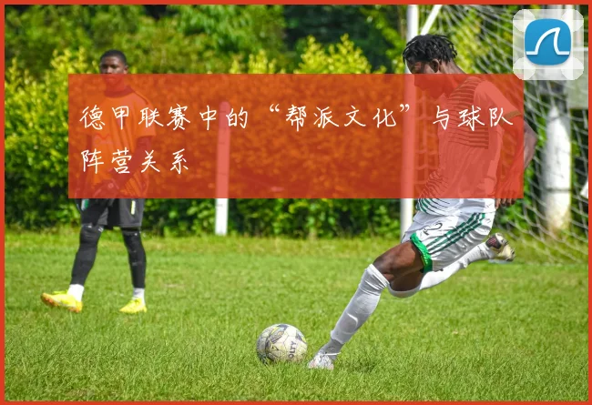 德甲联赛中的“帮派文化”与球队阵营关系